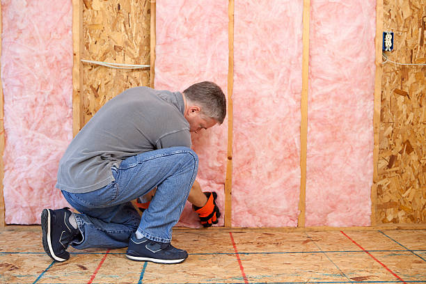 Best Insulation for Specific Applications in Sylvan Springs, AL