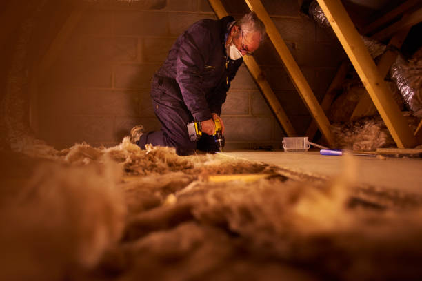 Best Types of Insulation in Sylvan Springs, AL